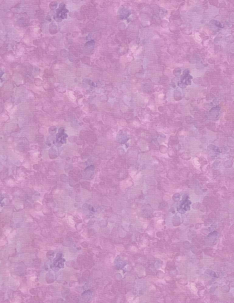 Timeless Treasures, Dragonfly Mist, Solidish, Lavender