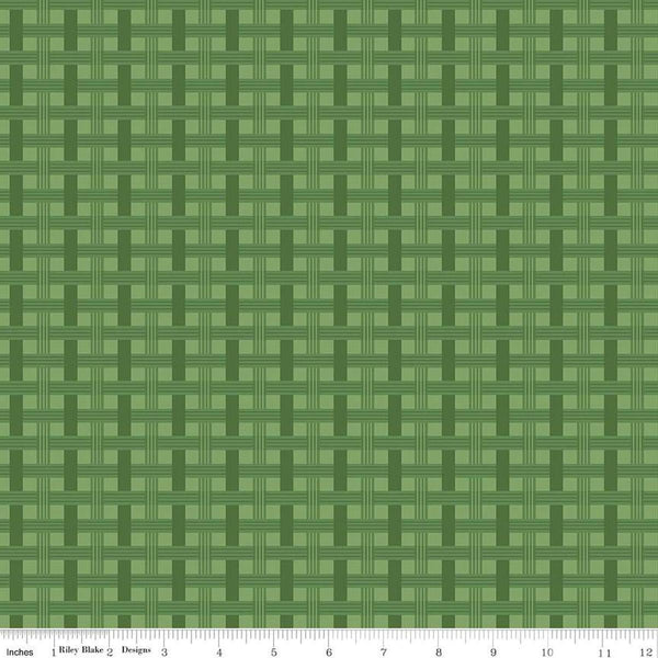 To Grandmas House by Riley Blake, Basket Weave, Grass