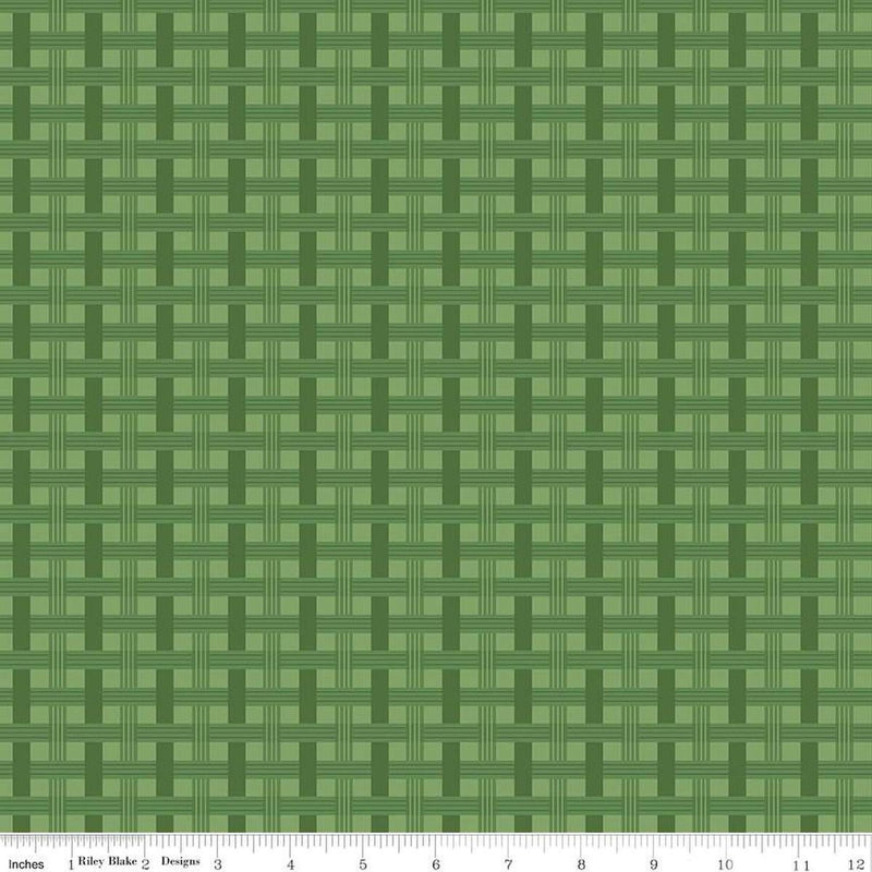 To Grandmas House by Riley Blake, Basket Weave, Grass