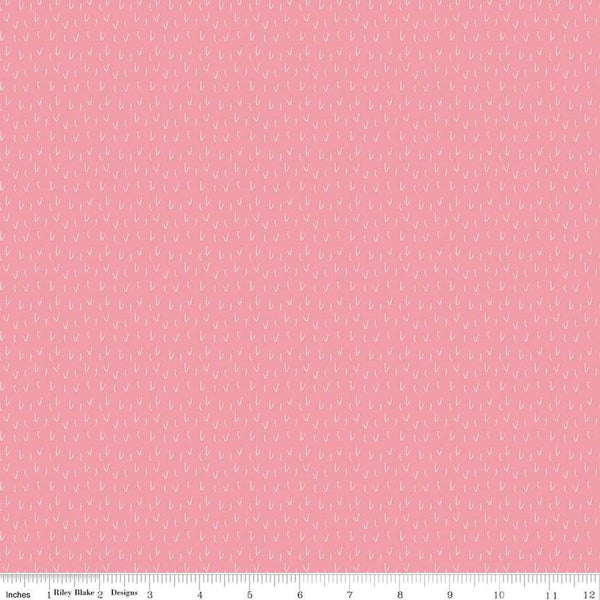 To Grandmas House by Riley Blake, Big Bad Wolf, Pink
