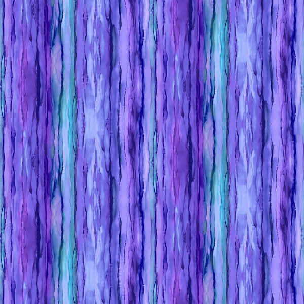 Allure Peacock, Purple Stripe