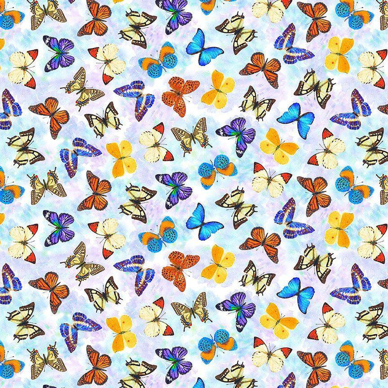 Row by Row Summertime, Multicolored Butterflies