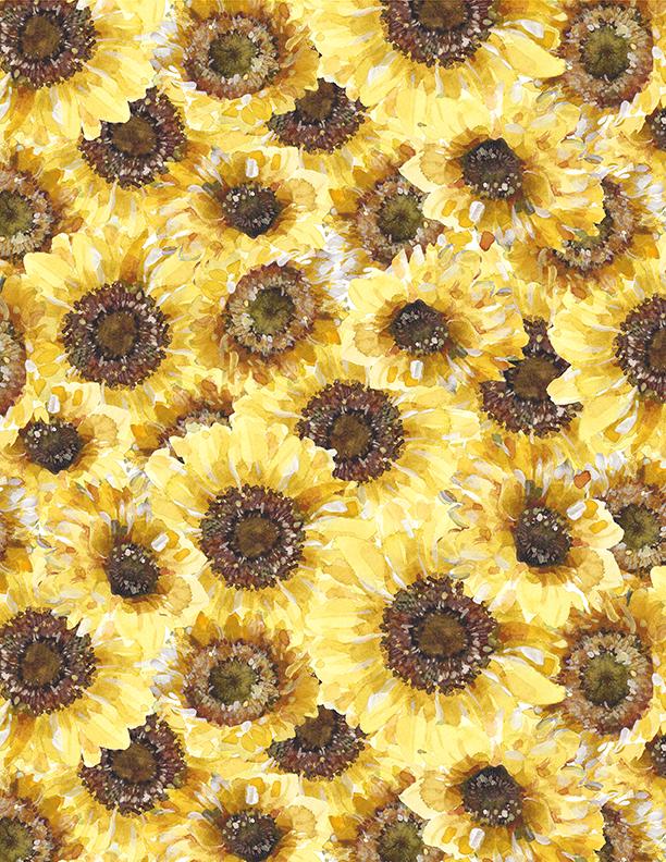 Sunflower Sweet, Packed Yellow Sunflowers
