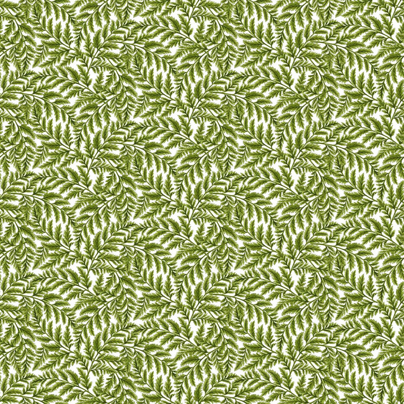 Sushine Harvest , Ferns on Green